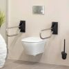 Handicare (Linido) LI2603350211 opklapbare toiletbeugel 530 mm RVS gepolijst (antraciete afdekkap/muurplaat)